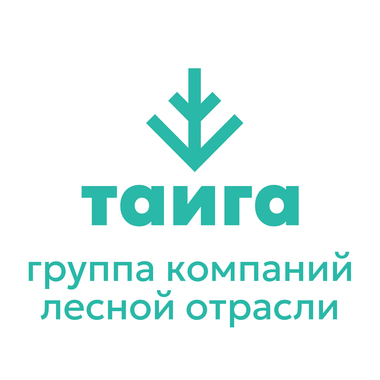 ООО «Тайга Групп» сообщает об объединении  ООО «ЭвоКом» и АО «Сыктывкар Тиссью Груп» и объявляет о ключевых назначениях