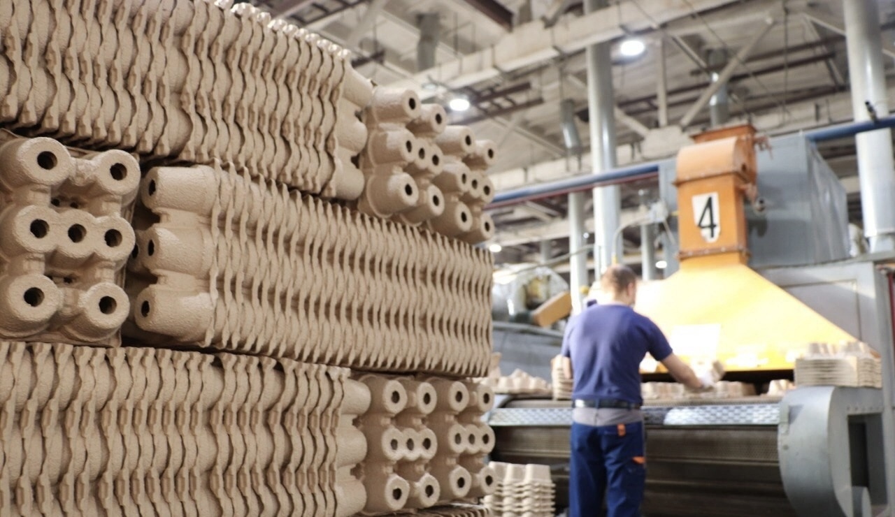 СОЭМЗ: вклад в науку 