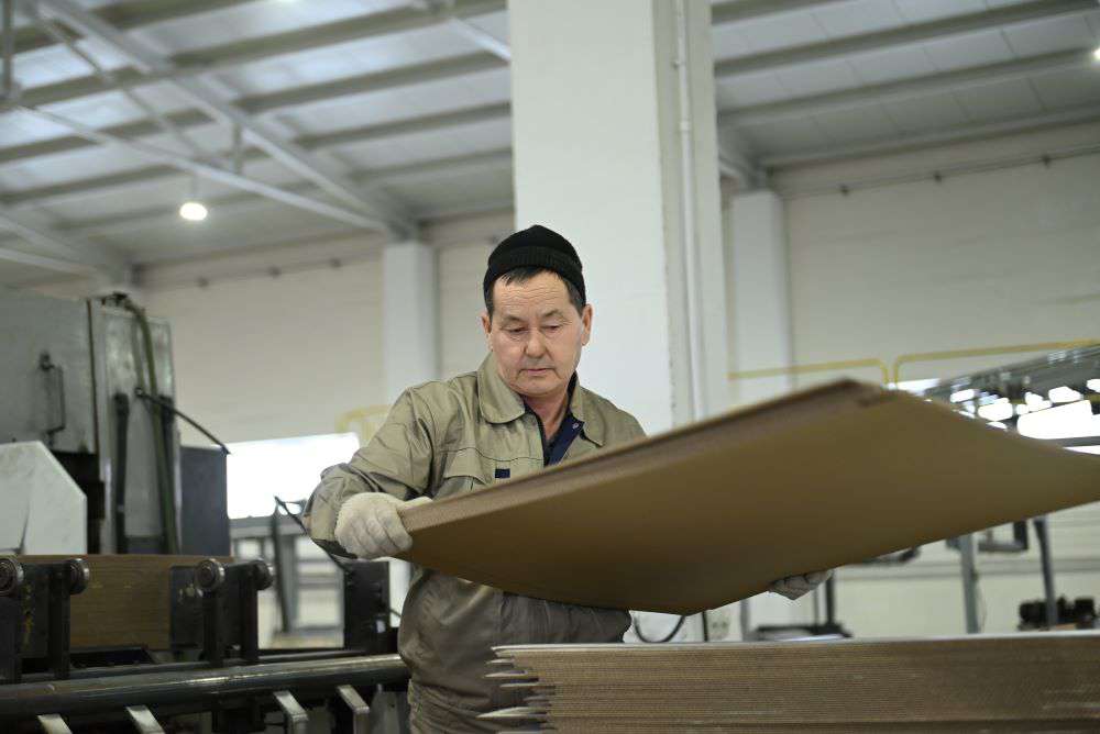 От макулатуры до коробки: в Казахстане запускают цикличное производство упаковки 