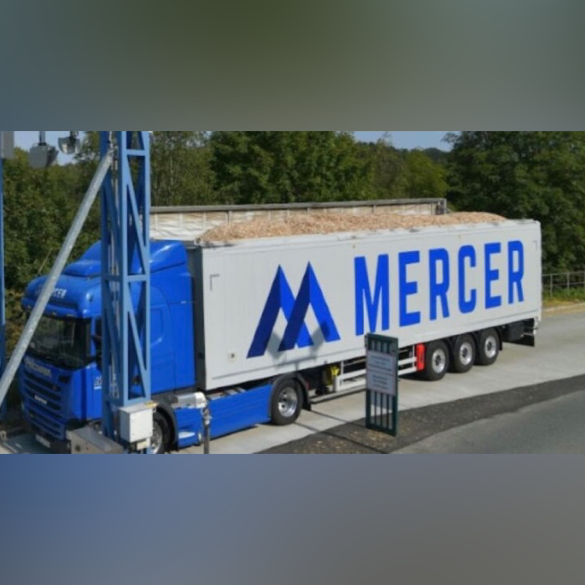 Из-за проблем с поставками сырья  Mercer International вынуждена приостановить производство 