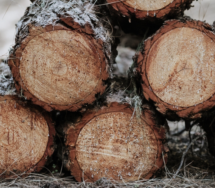 Материалы Международной научно-технической конференции, посвященной памяти профессора В.И.Комарова, в журнале Про ЦБП