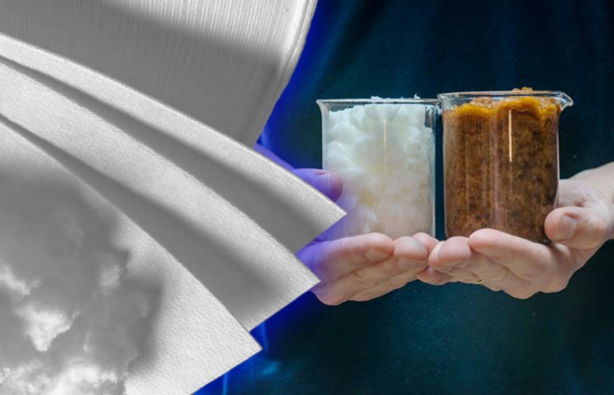 Ученые Пермского политеха разрабатывают методы повышения экологичности производства целлюлозы