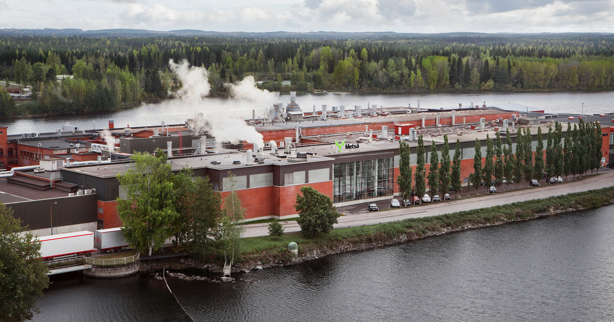 Metsä Group вложит €100 млн в устойчивое производство санитарно-гигиенической продукции в Финляндии