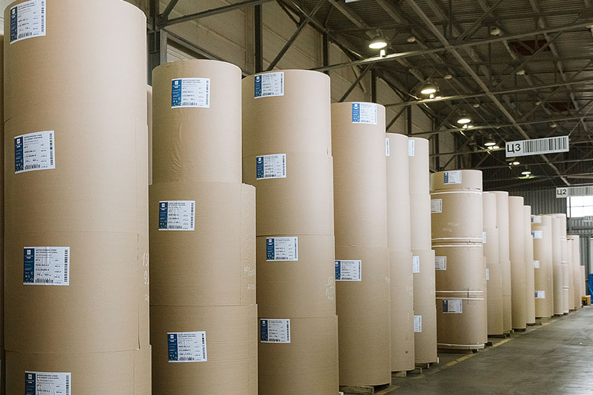 В России созданы адаптивные модели прогноза цен на лес, картон и целлюлозу