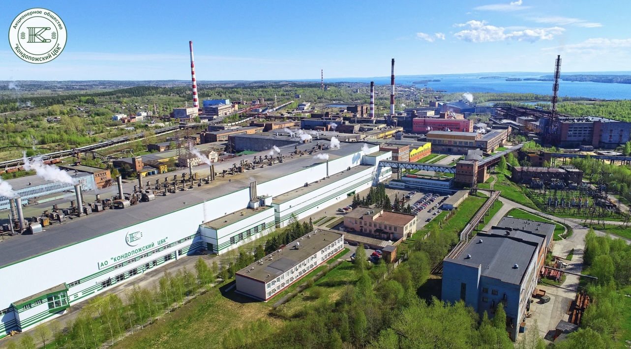 «Карелия Палп» сохранит конкурентоспособную цену продукции за счет льготного приобретения электроэнергии