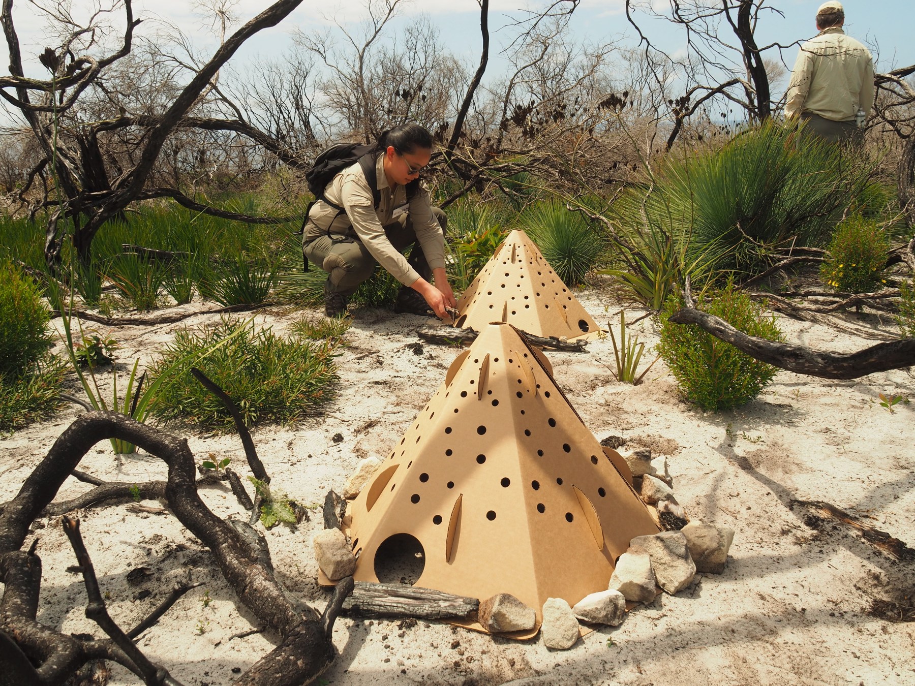 В Австралии разработали картонные домики для диких животных в их естественной среде