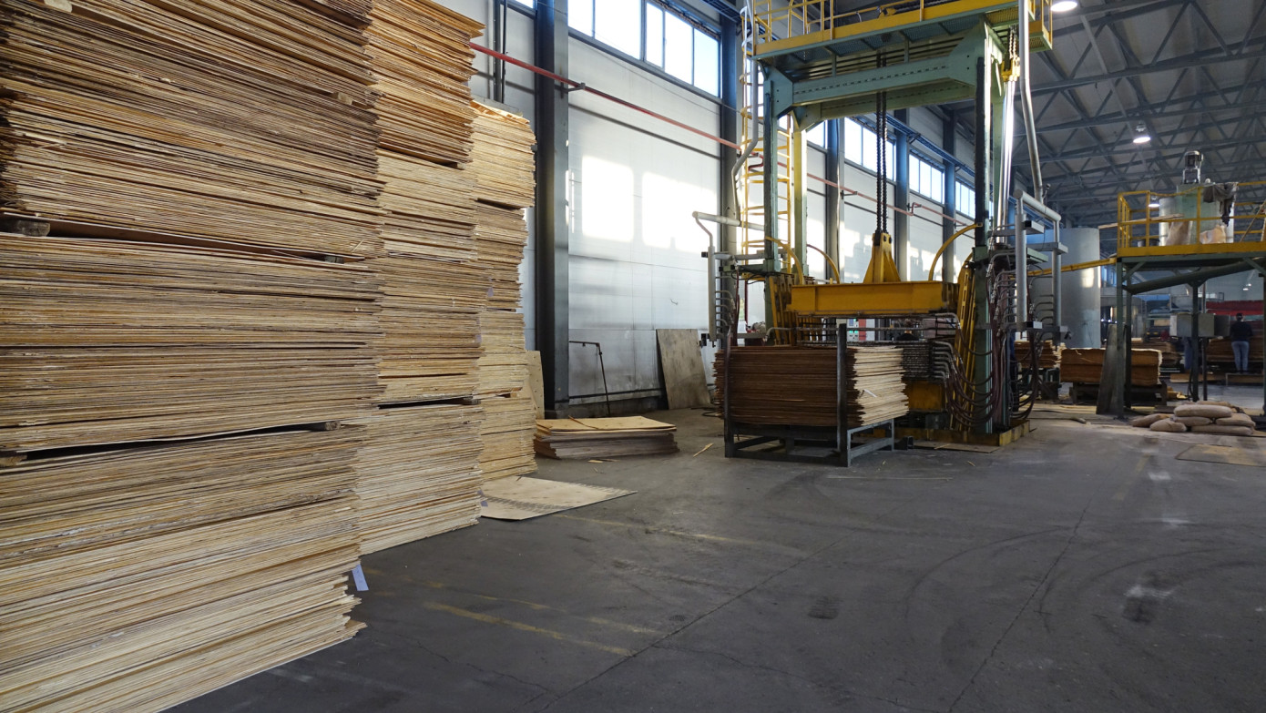 Экспорт древесной продукции из РФ в Америку осуществляется под видом азиатской