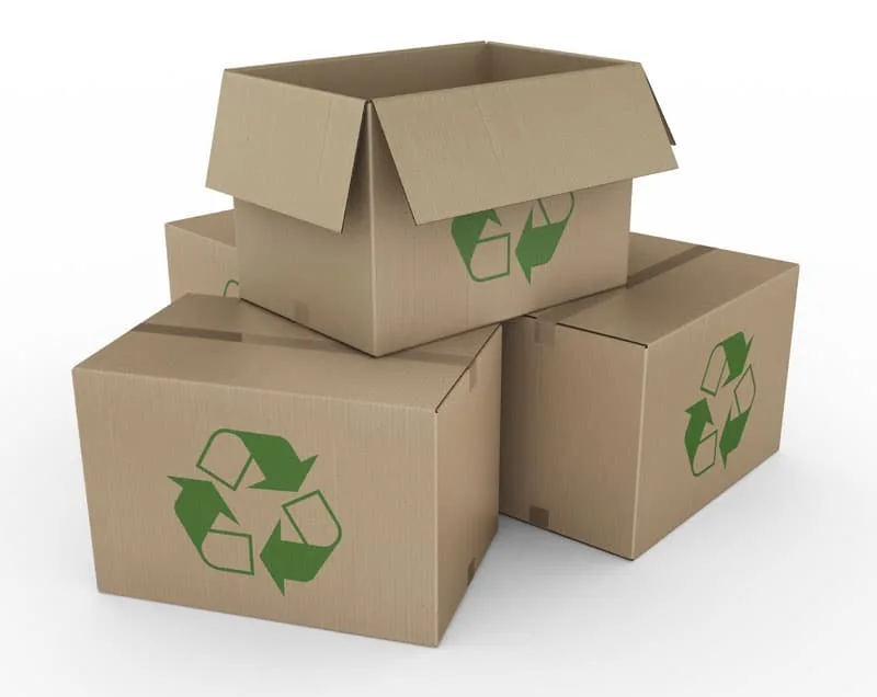 Ирландская Panda перерабатывает 5 млн картонных коробок в год