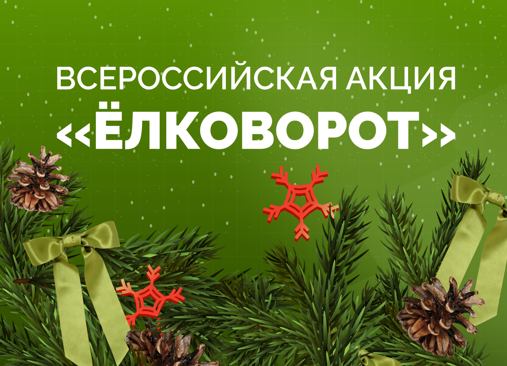 В России стартовала масштабная экологическая акция по переработке новогодних елей