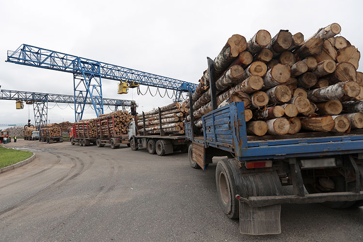 Российский леспром в «идеальном шторме»