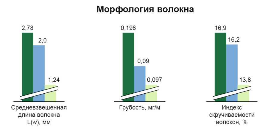 Морфлогия.jpg